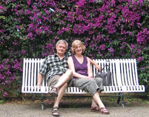 {short description of image}