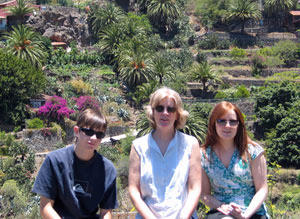 {short description of image}