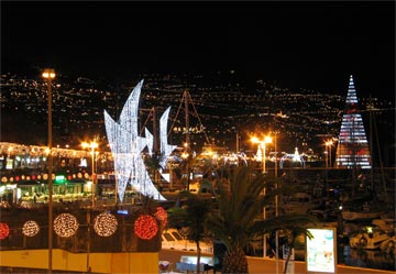 {short description of image}