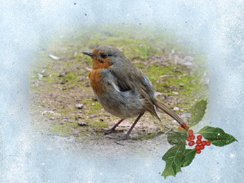 {short description of image}